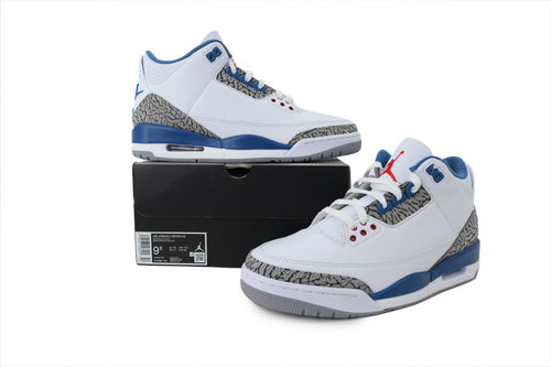 Air Jordan 3 "True Blue" 2016/2023