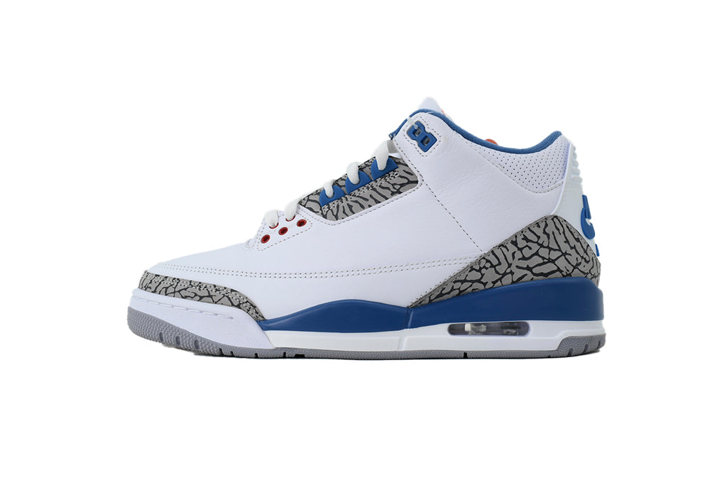 Air Jordan 3 "True Blue" 2016/2023