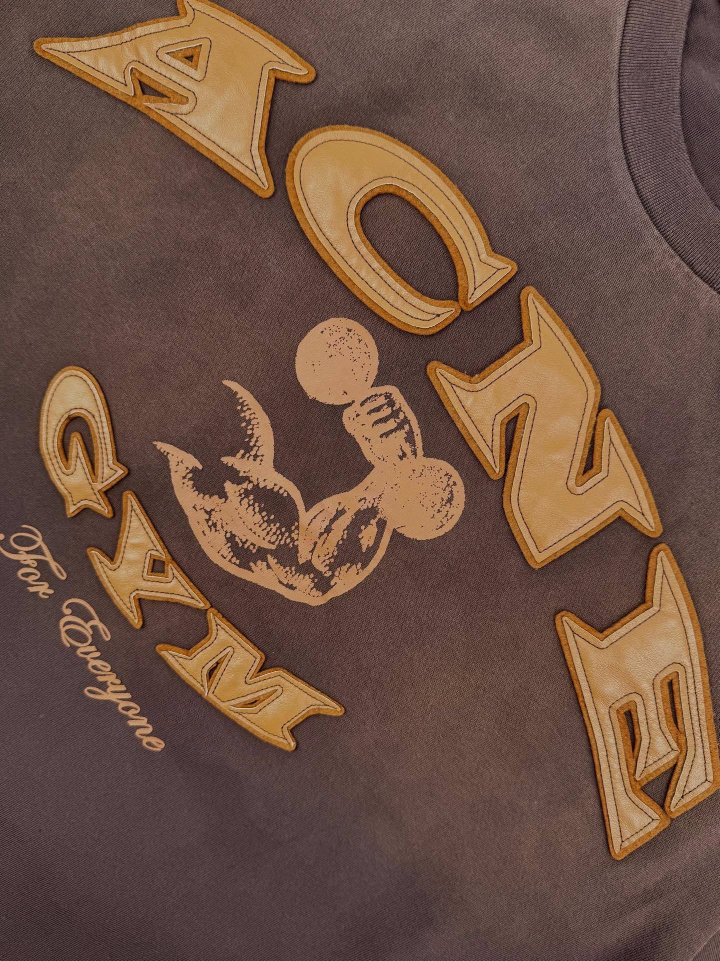 Acne Studios "ACNE GYM" T-Shirt - Brown