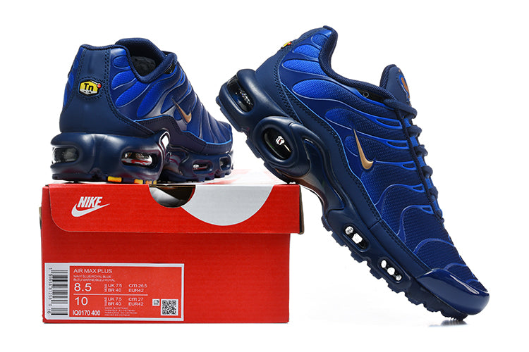 Nike Air Max Plus "TN" Navy/Blue/Gold