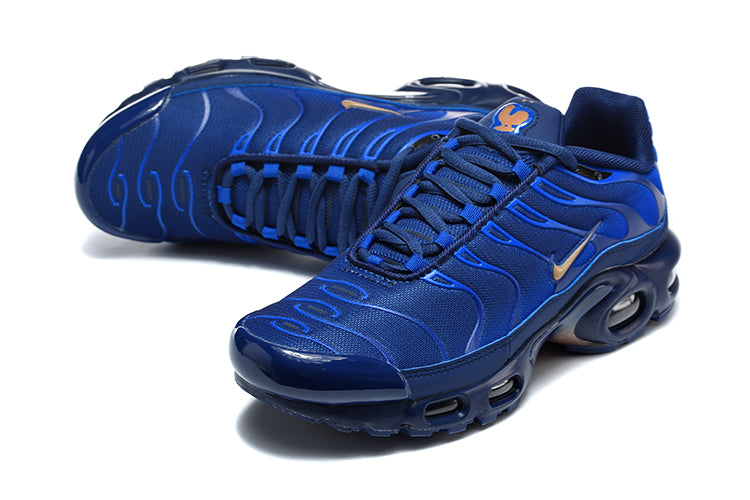 Nike Air Max Plus "TN" Navy/Blue/Gold