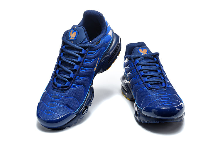 Nike Air Max Plus "TN" Navy/Blue/Gold