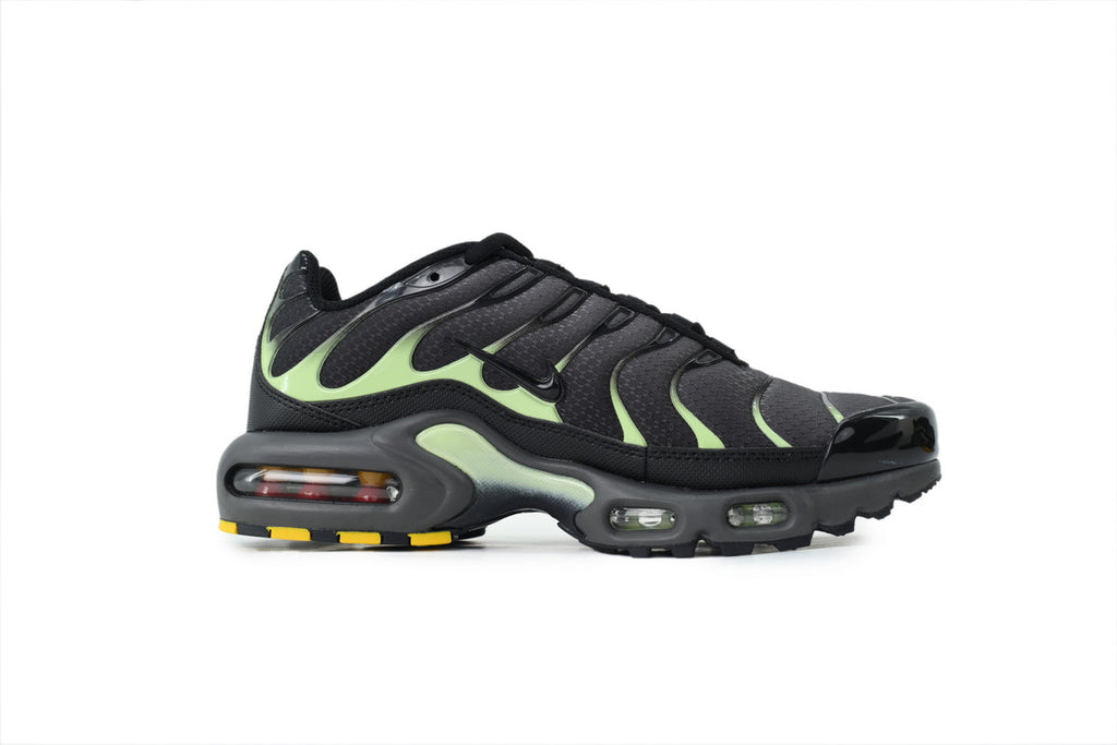 Nike Air Max Plus TN