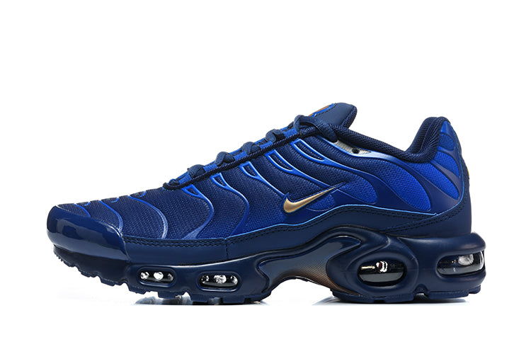 Nike Air Max Plus "TN" Navy/Blue/Gold