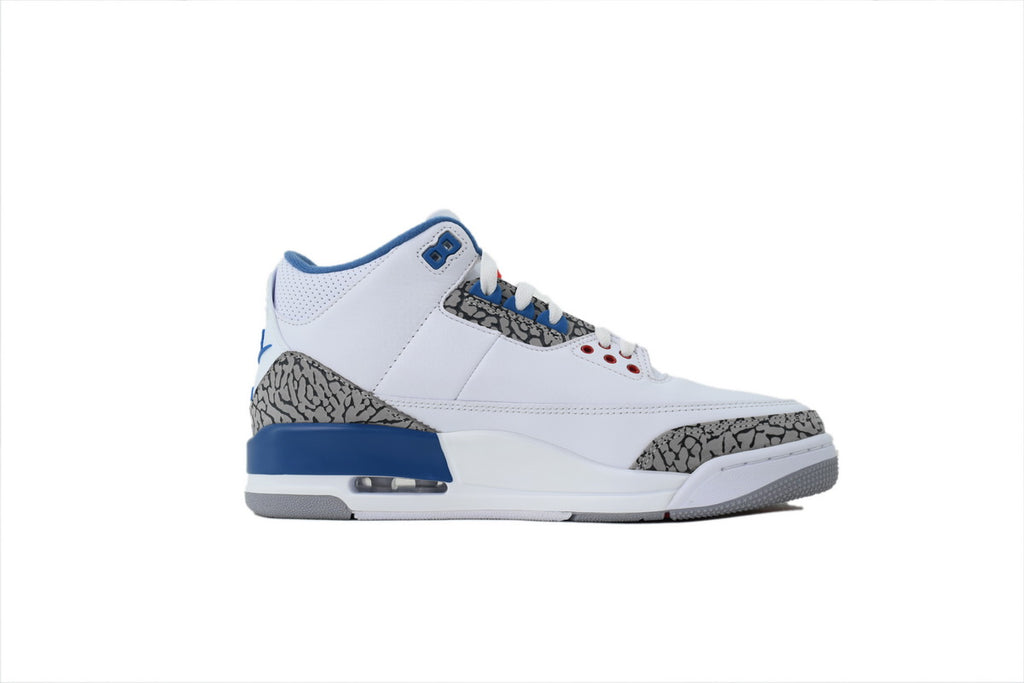 Air Jordan 3 "True Blue" 2016/2023